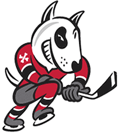 Niagara IceDogs 2007-pres alternate logo v2 iron on heat transfer